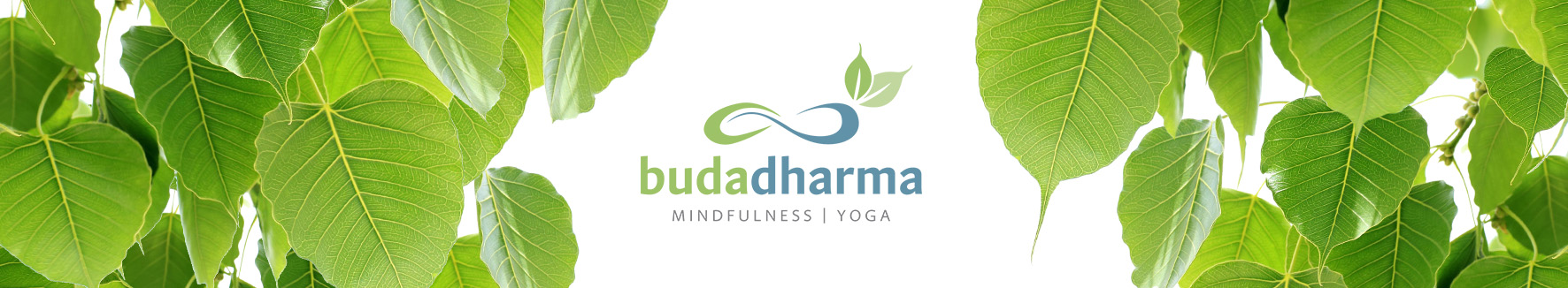 Budadharma