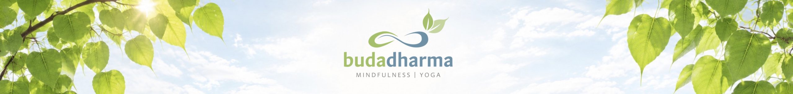 Budadharma