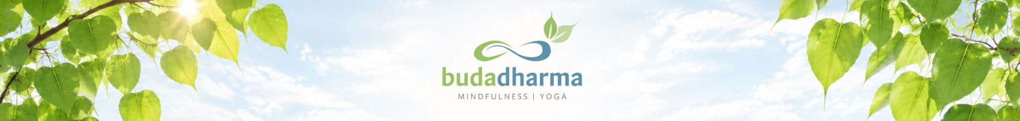 Budadharma